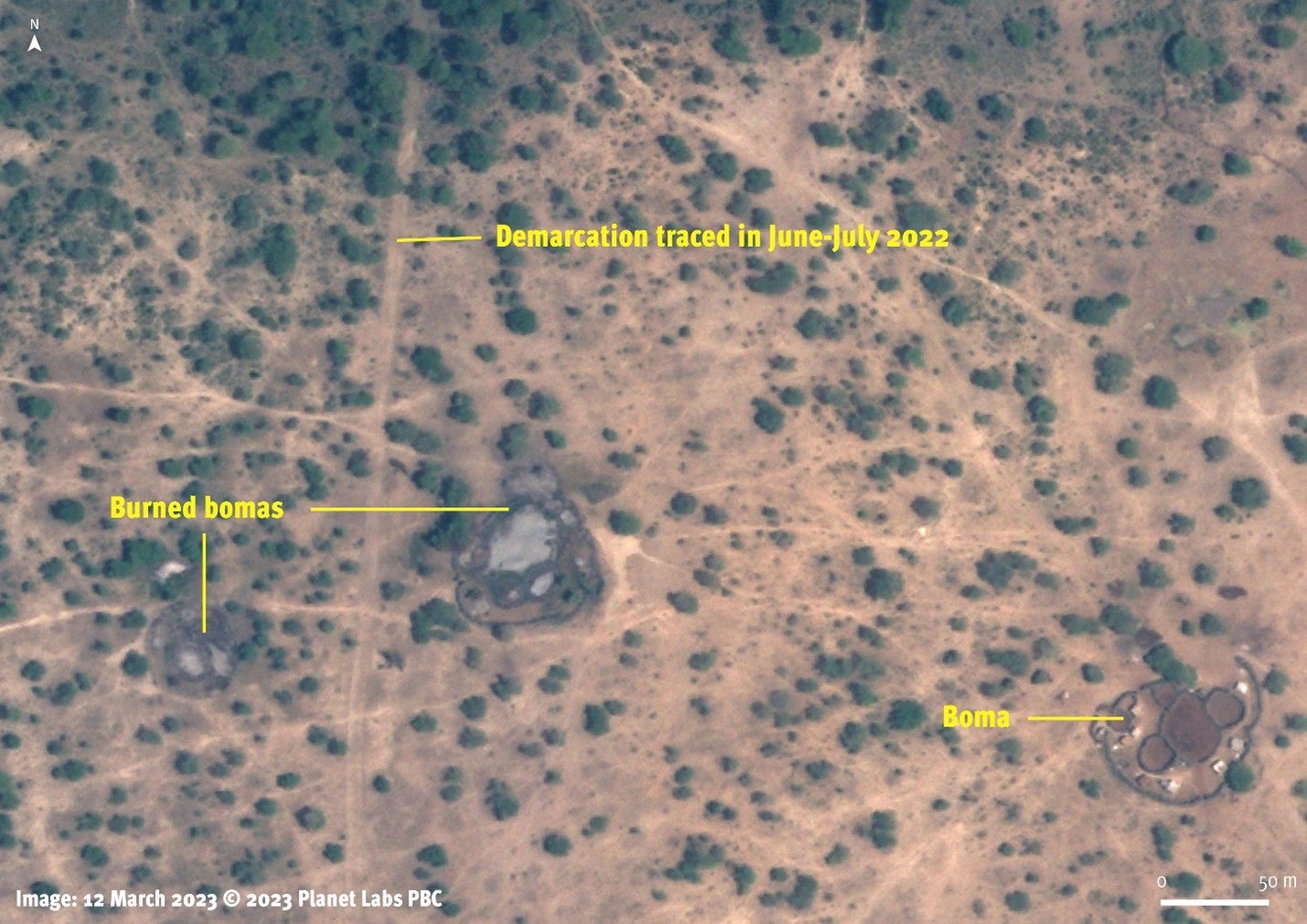 Satellite image from March 12, 2023 shows the new demarcation in Arash ward, Arusha region, Tanzania. Homesteads and animal enclosures located close to the line are destroyed and show signs of burning. 