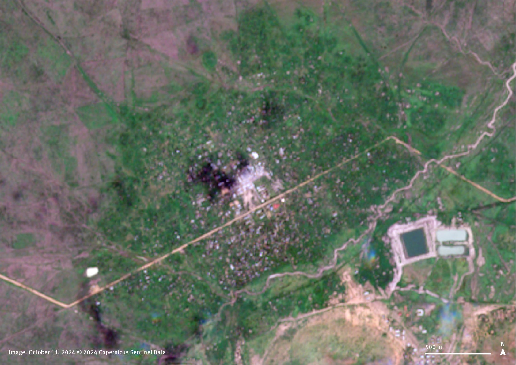 Satellite imagery comparison between October 2, 2022 and October 11, 2024, shows  that by October 2024 vegetation has encroached through the town of Habila, South Kordofan, Sudan. Paths and courtyards around the houses are usually cleared during the rainy season, but are visibly covered by vegetation in 2024. 