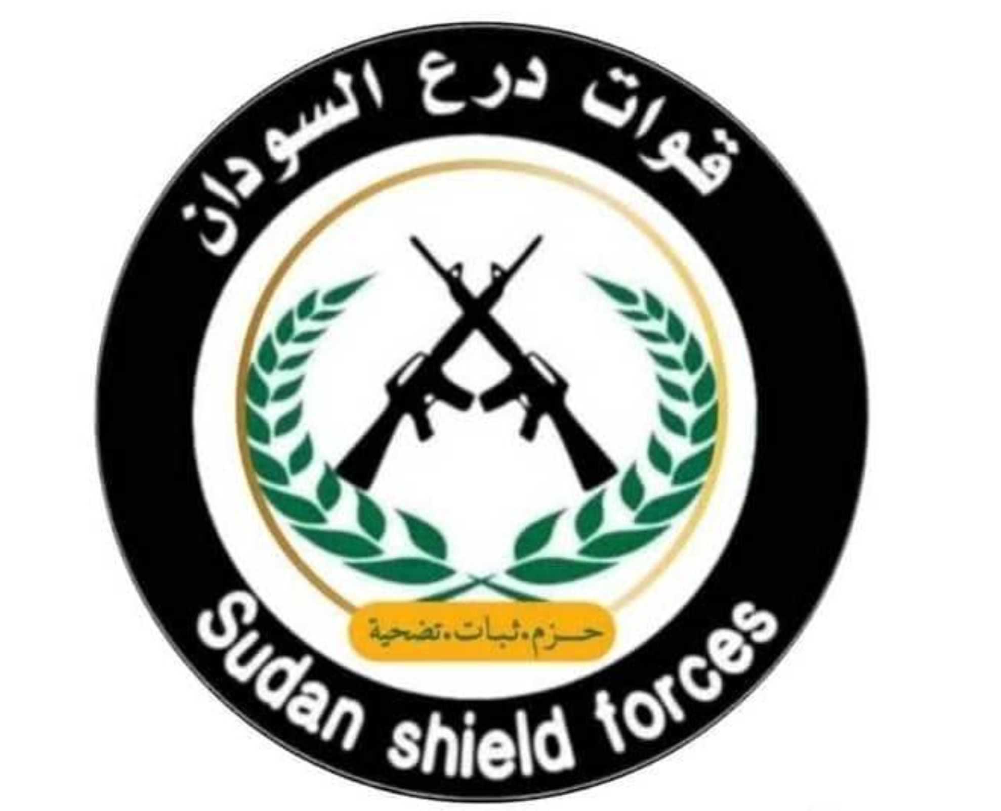 The emblem of the Sudan Shield Forces, showing two M16-type rifles crossed. 
