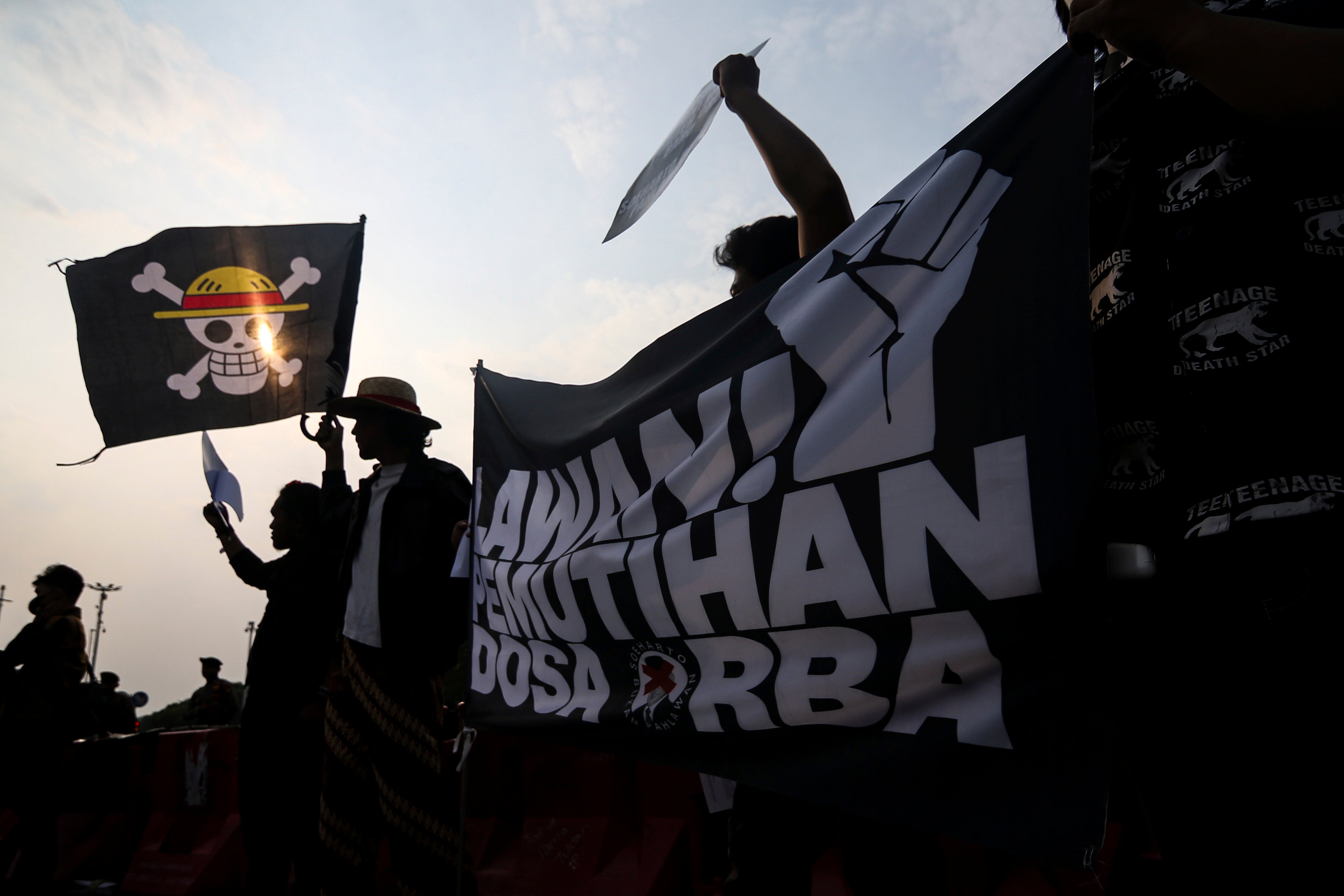 Activists wave the Straw Hat Pirates' Jolly Roger flag from the anime One Piece.