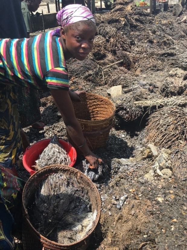 201911ENV_DRC_reportphotos