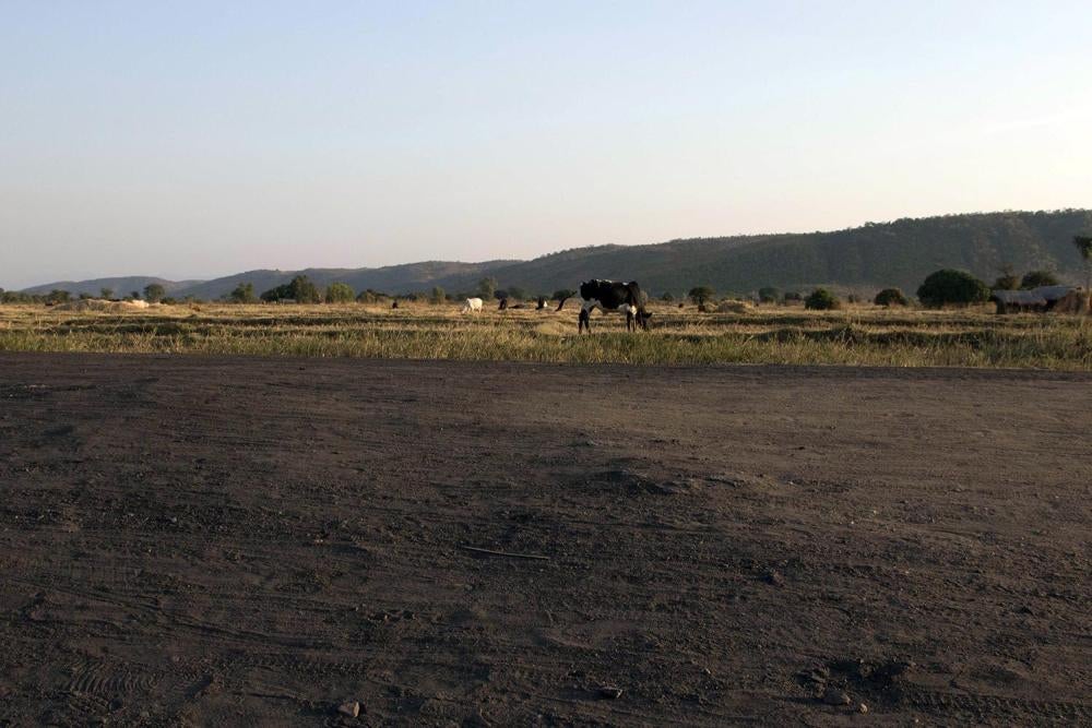 Dirt road leading to Eland coal mine passing by the rice fields of Mwabulambo community. 