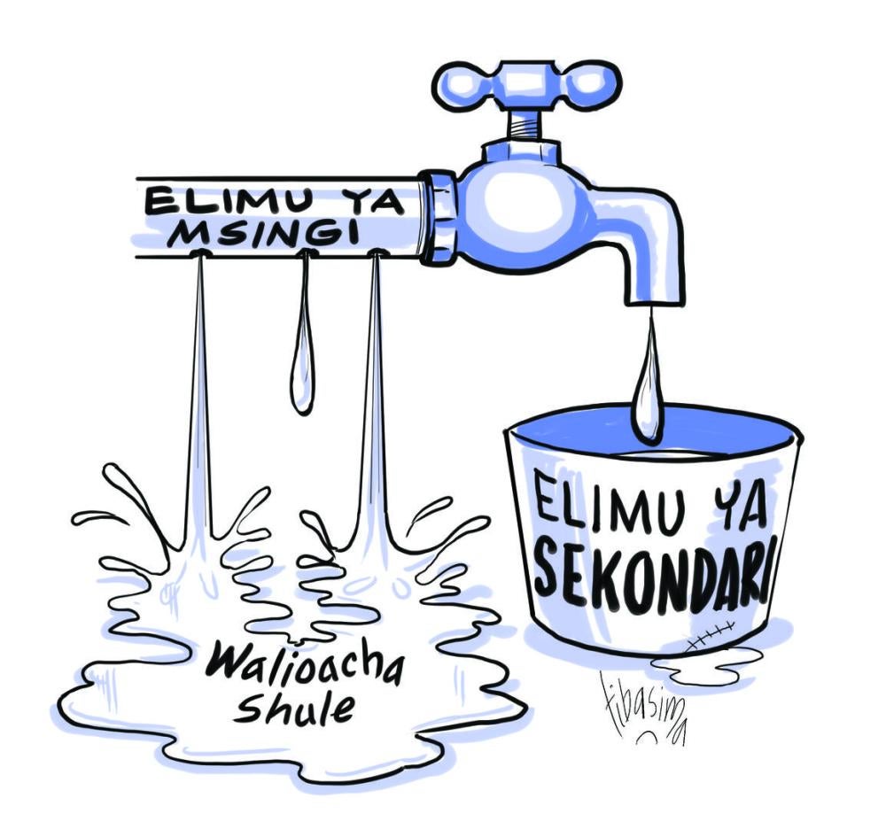 Cartoon for Tanzania Education Report 