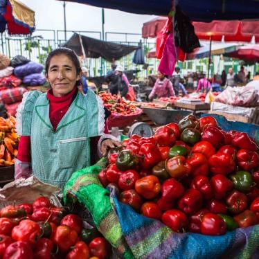 Luzmila Elba Rojas Morales is a food vendor in Lima, Peru and part of a national network of self-employed workers RENATTA (Red Nacional de Trabajadoras/es Autoempleadas) that works closely with WIEGO (Women in Informal Employment: Globalizing and Organizing) including on occupational health and safety and social inclusion campaigns. 