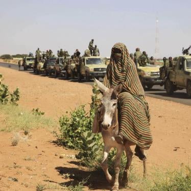 A government military convoy on its way to Tabit town in North Darfur, Sudan, November 20, 2014.