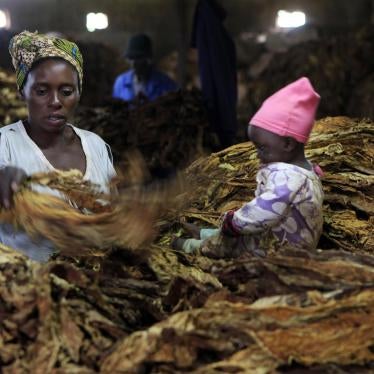 A woman sorts dried tobacco leaves in Harare, Zimbabwe while a child sits nearby. 